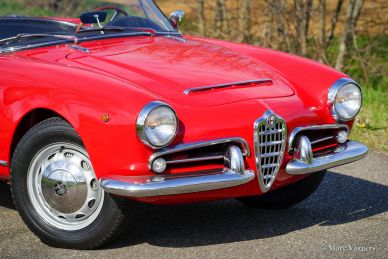 Alfa Romeo Giulia 1600 Spider, 1963