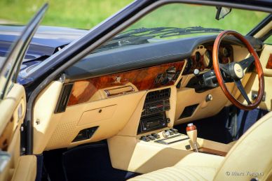 Aston Martin V8, 1980