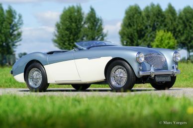 Austin Healey 100/4 (BN1), 1955