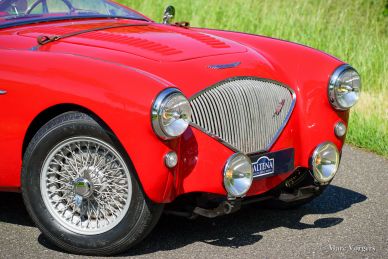 Austin Healey 100/4 'Le Mans', 1954