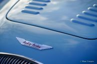 Austin Healey 100/4 BN2, 1956
