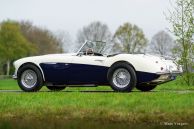 Austin Healey 100/6 BN4, 1957