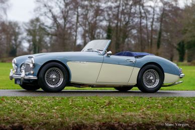 Austin Healey 100/6 BN4, 1957