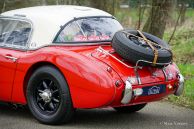 Austin Healey 100/6 Rally Car, 1958