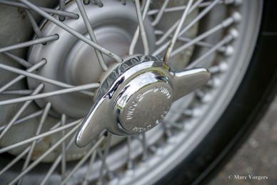 Austin Healey 100/4 BN2, 1956