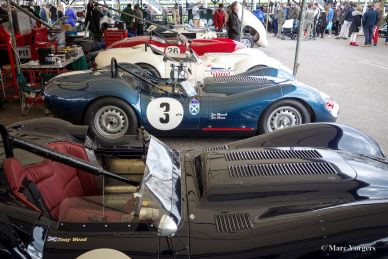 Goodwood 73rd Members Meeting 2015