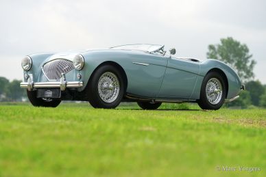 Austin Healey 100/4, 1954