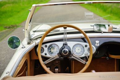 Austin Healey 100/4 BN1, 1955