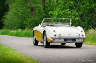 Austin Healey 100/4 BN1, 1955