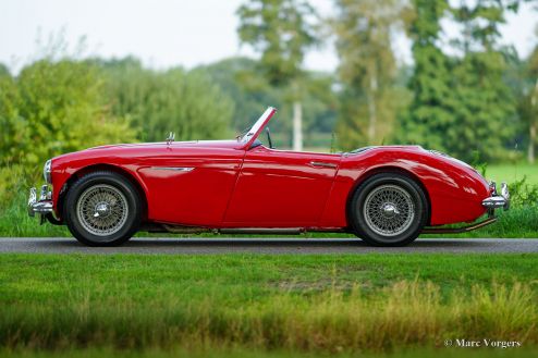 Austin Healey 100/6, 1959