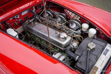 Austin Healey 100/6 Rally Car, 1958