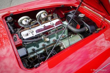 Austin Healey 100/4 BN2, 1956