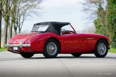 Austin Healey 100/4 BN2, 1956