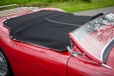 Austin Healey 100/4 BN2, 1956