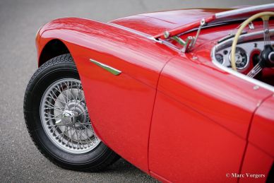 Austin Healey 100/4 BN2, 1956