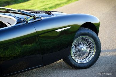 Austin Healey 100/4 BN2 ‘Le Mans’, 1955