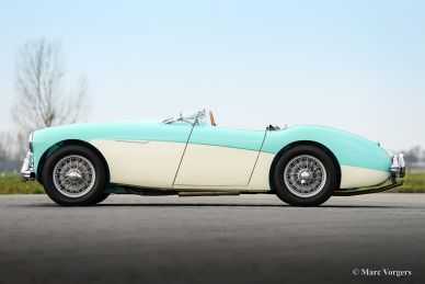 Austin Healey 100/4 BN-1, 1954