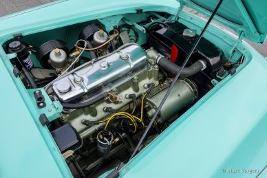 Austin Healey 100/4 BN-1, 1954