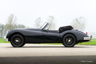 Jaguar XK 140 SE DHC, 1955