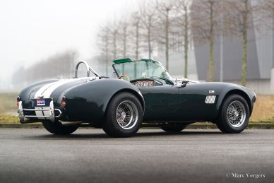 Dax Cobra Tojeiro, 1991