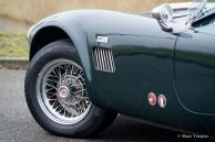 Dax Cobra Tojeiro, 1991