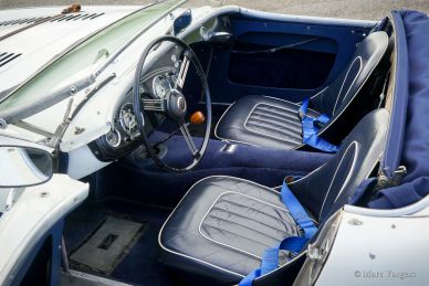 Austin Healey 100/4 BN2, 1955