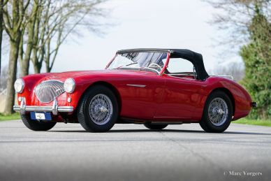 Austin Healey 100/4 BN2, 1956