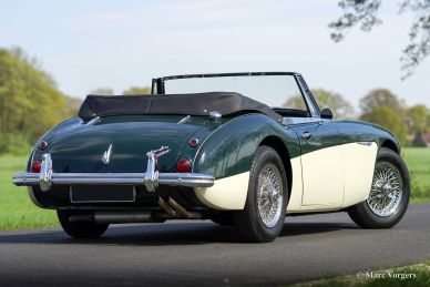 Austin Healey 3000 Mk III, 1964