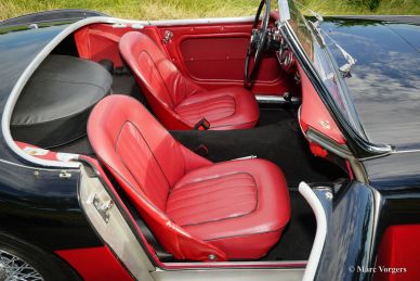 Austin Healey 3000 Mk I, 1959