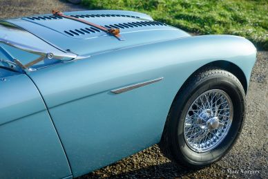 Austin Healey 100/M BN2 ‘Le Mans’, 1956
