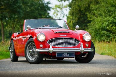 Austin Healey 100/6, 1959