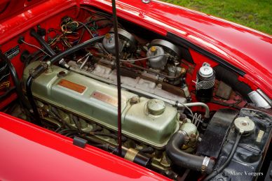 Austin Healey 100/6, 1959