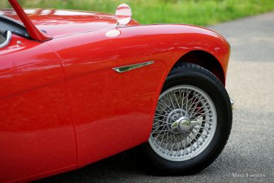 Austin Healey 100/6, 1959