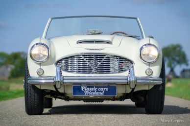 Austin Healey 100/6 BN4, 1959