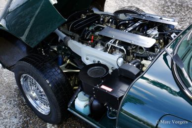 Jaguar E-type SIII V12 roadster, 1973