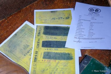 Jaguar XK 120 DHC, 1953