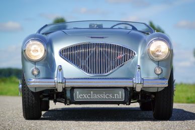 Austin Healey 100/4 (BN1), 1955