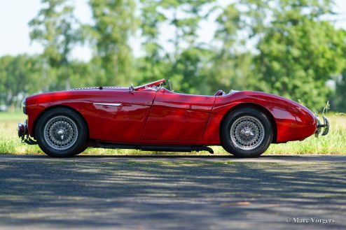 Austin Healey 100/4 'Le Mans', 1954