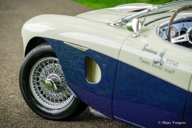 Austin Healey 100/4 BN1, 1953