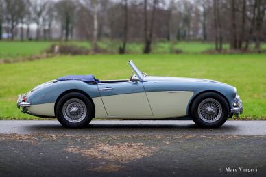 Austin Healey 100/6 BN4, 1957