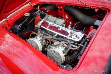 Austin Healey 100/4 BN2, 1956