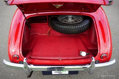 Austin Healey 100/4 BN2, 1956