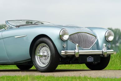 Austin Healey 100/4, 1954