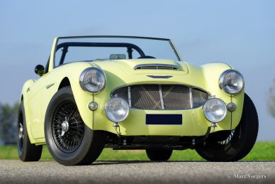 Austin Healey 100/6, 1959
