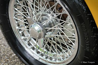 Austin Healey 100/4 BN1, 1955