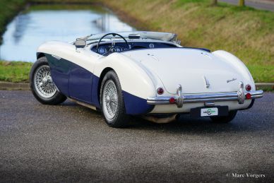 Austin Healey 100/4 BN2, 1955