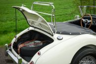 Austin Healey 100/6 BN4, 1957