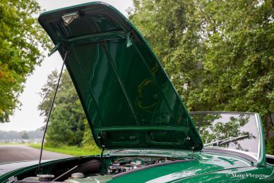 Austin Healey 100/6 BN6 ‘two-seater’, 1958