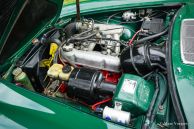 Volvo 1800 ES, 1972