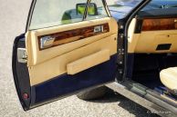 Aston Martin V8, 1980